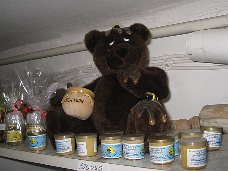 beekeeping honey bear honey bees