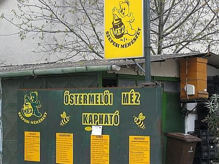 beekeeping Hungary honey bees