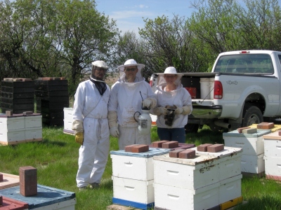 beekeeping Alberta Canada Summit Gardens Honey Farms honey bees