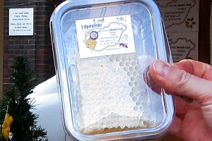 Hungarian comb honey