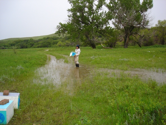flood beehives hives beekeeping Alberta Canada Summit Gardens Honey Farms honey bees