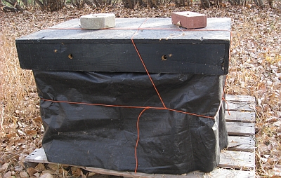 bees beekeeping hives wrapped for winter apiary Summit Gardens