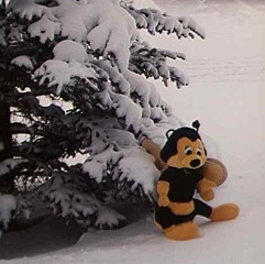 beekeeping Benny the Bee honey bees