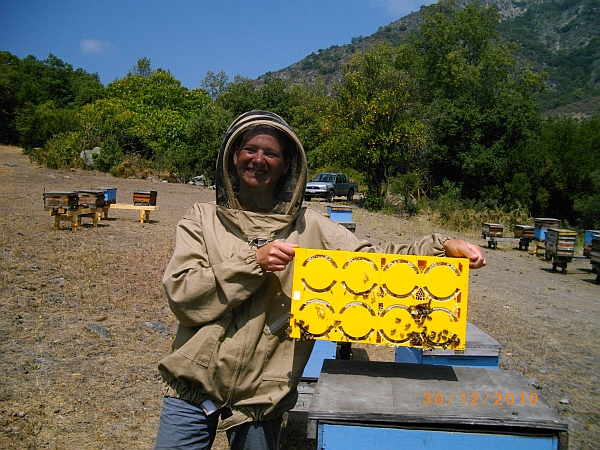 beekeeping comb honey Summit Combs frame