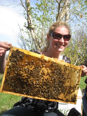 beekeeping Alberta Canada Summit Gardens Honey Farms honey bees