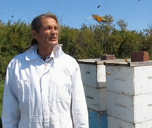 hive honey  pollen baskets beekeeping