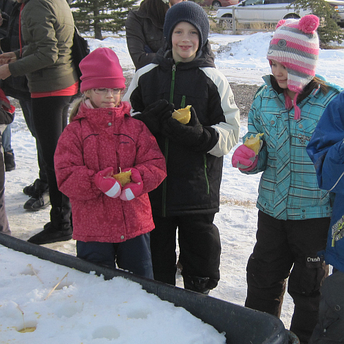 Chinook Honey farm Christmas at the Hive Alberta beekeeping