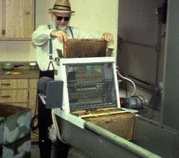 Hutterite beekeeper