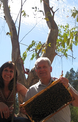 beekeeping Chile Ron Miksha honey bees