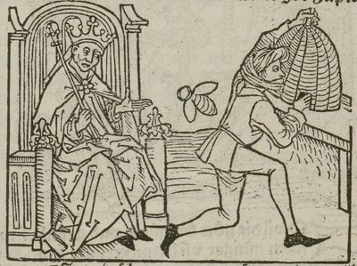 Bee Jupiter Aesop