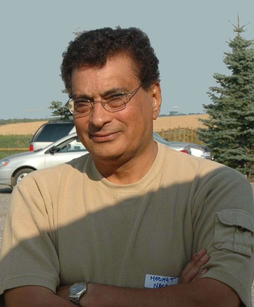 bees beekeeping Medhat Nasr Alberta
